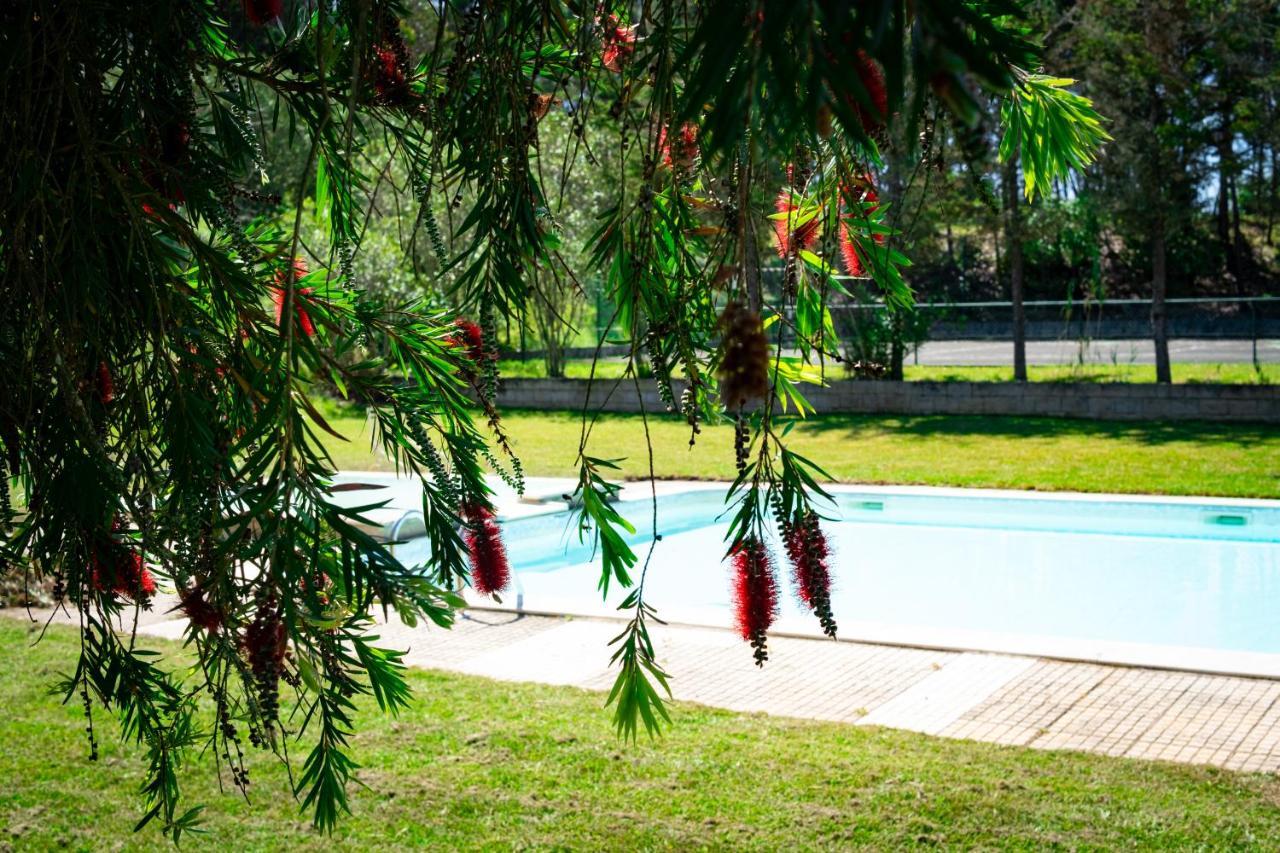 Hotel Rural Quinta Do Juncal Serra d'El-Rei Luaran gambar